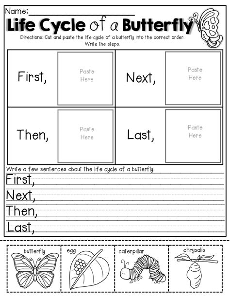 Life Cycle Of A Butterfly Cut And Paste Worksheet