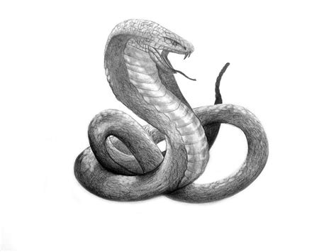 Snake Slytherin By Yaoinoyume On Deviantart