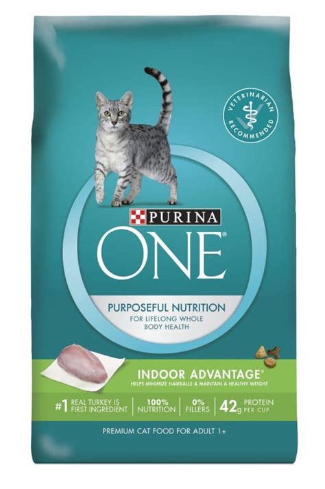 Top 10 Best Dry Cat Foods In 2023 Topreviewproducts