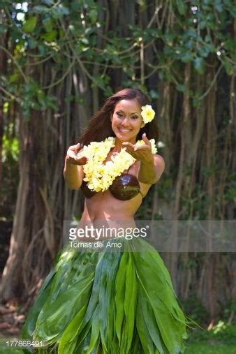 Female Hawaiian Hula Dancer Wearing Coconut Bikini Yellow Lei And Picture Id177868491 338×507