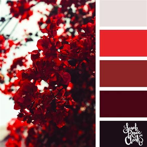 Red Color Palette 25 Color Palettes Inspired By The Pantone Color