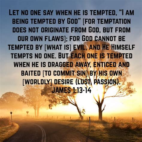 James 113 14 Let No One Say When He Is Tempted “i Am Being Tempted By