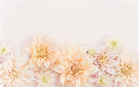 Floral Wallpaper Desktop Macbook Wallpaper Desktop Wallpapers Backgrounds