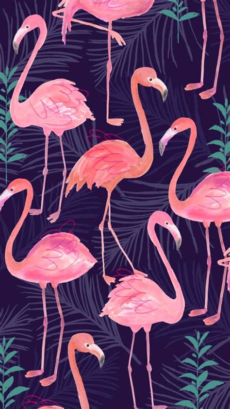 Flamingos Con Imágenes Patrones De Papel Tapiz Fondo De Pantalla