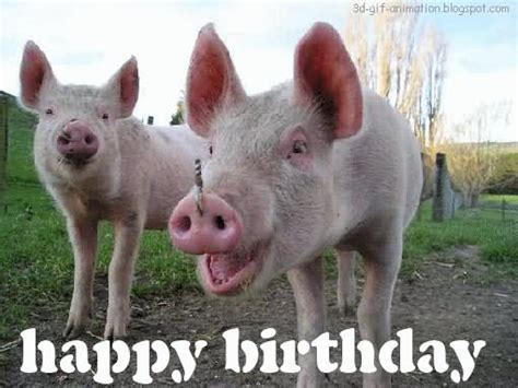 20 Very Funny Birthday Animal Pictures And Images