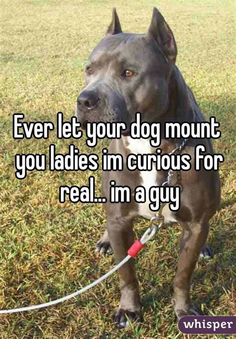 Ever Let Your Dog Mount You Ladies Im Curious For Real Im A Guy