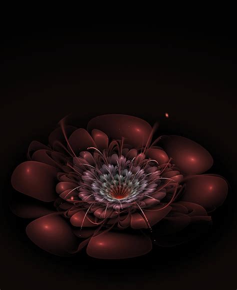 Abstract Red Fractal Flower Over Black Background Digital Art By Andrey