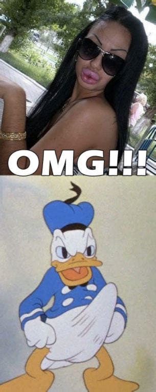 Donald Duck Boner Know Your Meme