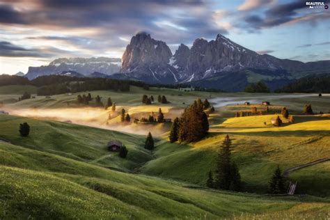 Fog The Hills Trees Viewes Seiser Alm Meadow Italy Sassolungo