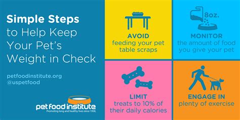 Simple Steps To Help Prevent Pet Obesity Pet Food Institute