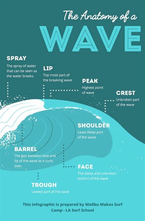 The Anatomy Of A Wave Infographic Surfing Tips Surfing Waves Surfing