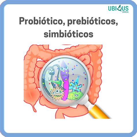 Probiótico Prebióticos Simbióticos By Ubiqus Ciencia Medium