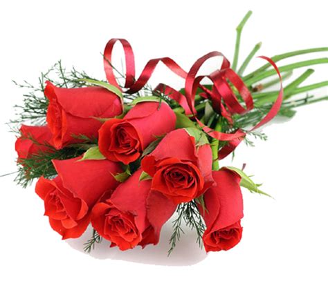 Rose Bunchroseflowers To India Send Flowers Ts Cake Online To