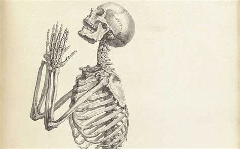 7 Fantastic Vintage Anatomy Drawings Popular Science
