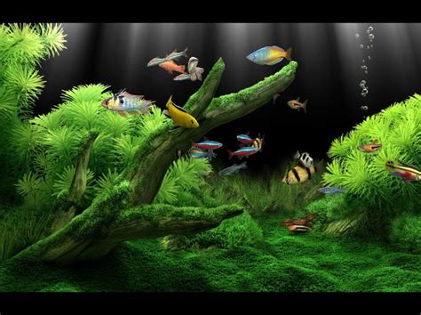 Dream Aquarium Screensaver Screnshots
