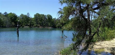 Hidden Lake Nj Is Home To An Easy Hike With Lake Views