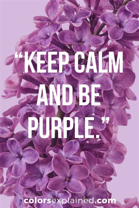 64 Quotes About Purple To Enlighten Your Soul 2024 • Colors Explained
