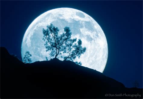 Tips For Photographing The Supermoon Natures Best By Don Smith