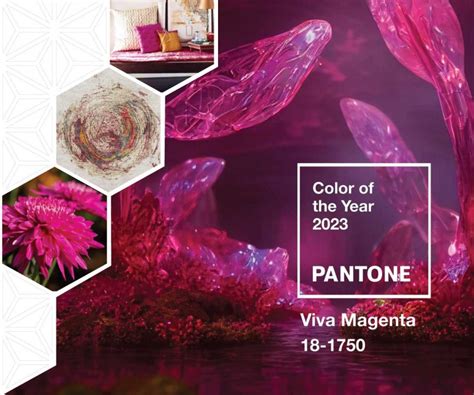 Pantone Color Of The Year 2023 Viva Magenta Mafi Rugs