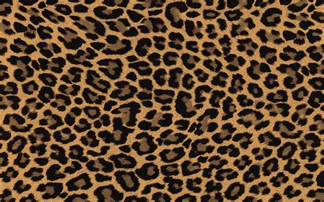 Leopard Print Wallpaper For Computer Carrotapp