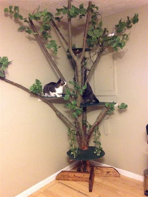 25 Cool Ideas For Cat Trees Towers And Other Structures Binatang