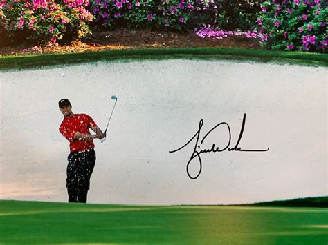 Golfing champion tiger woods was hospitalized in los angeles on tuesday with severe leg injuries suffered when his car veered off a road and rolled down a steep hillside, requiring rescue crews to pry him from the wreckage, authorities said. Tiger Woods Autographed Masters Amen Corner Photograph ...