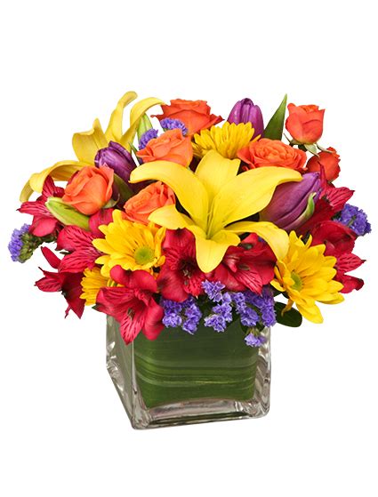We did not find results for: SUN-INFUSED FLOWERS Summer Arrangement in Mooresville, IN ...