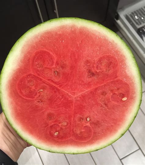 The Symmetry Of This Watermelon Rmildlyinteresting