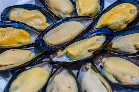 Fresh Mussels Dish Stock Photo Image Of Tasty Seafood 115909758