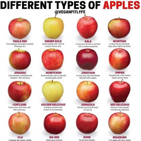 Chart Types Of Apples