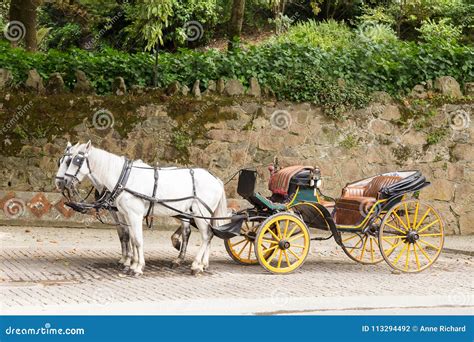 Old Horse Drawn Carriage Parked On Cobbled Street Stock Photo Image