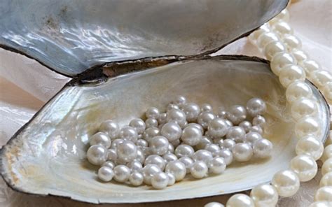 Pearls In Clams