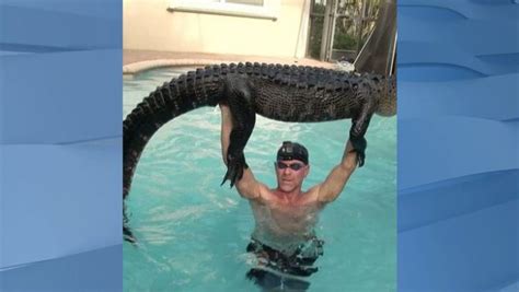 Nearly 9 Foot Alligator Pulled From Pool In Parkland
