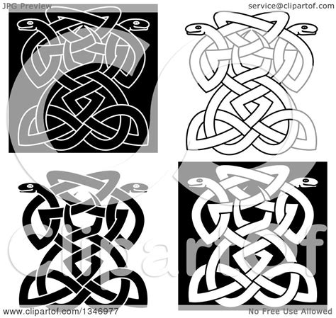 Clipart Of Black And White Celtic Knot Snakes 3 Royalty