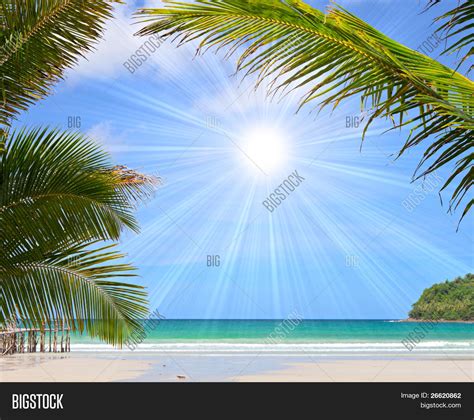 Tropical Beach With Beautiful Palm Trees On The Sand And