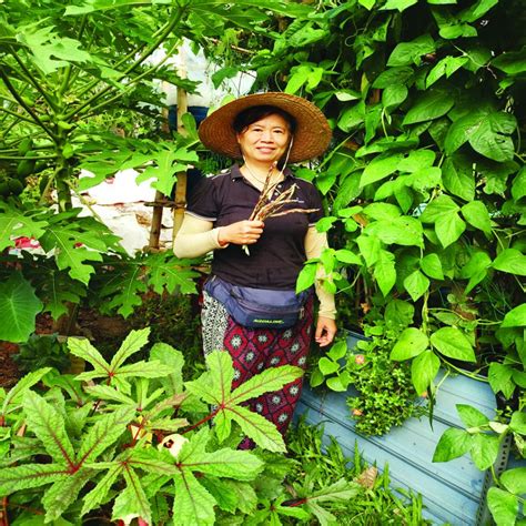 “agroekologi Untuk Semua Inisiatif Di Malaysia” Kebun Komuniti