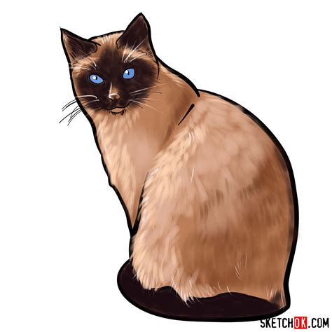 How To Draw The Siamese Cat Sketchok Easy Drawing Guides