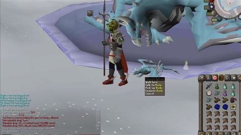 Never Knew Vorkath Only Had 3 Legs Till I Got The Pet R2007scape