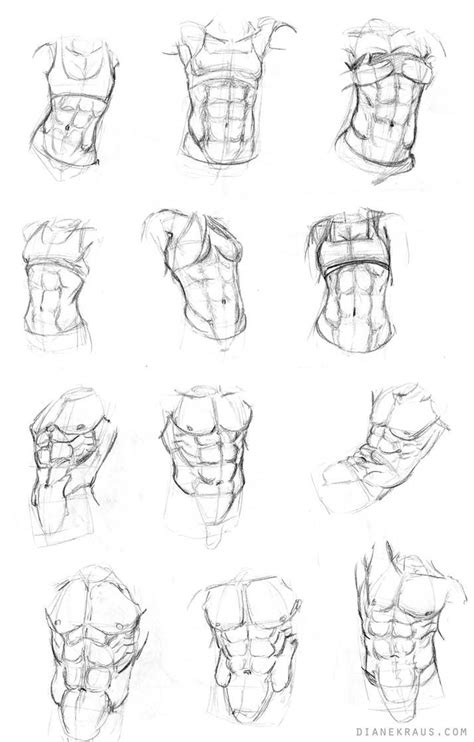 Torso Studies By Banjodi On Deviantart Anatomy Sketches Anime Drawings