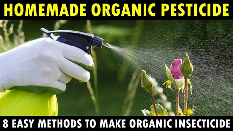Best Homemade Organic Pesticides For Vegetable Plants How To Make