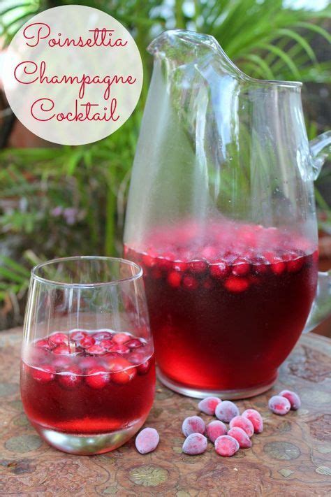 From the book hot toddies: Poinsettia Champagne Cocktail | Recipe | Champagne drinks ...