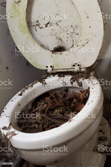 Dirty Toilet Stock Photo More Pictures Of IStock