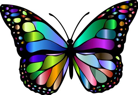 Monarch Butterfly Clipart Png Full Hd Mariposa Monarca De Colores
