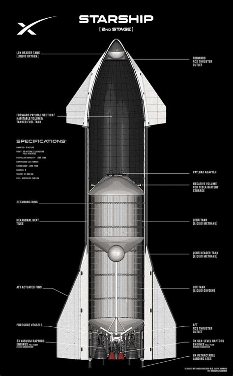 Cutaway Schematic Of Spacex Starship Interior By Tom Dixon Spacex