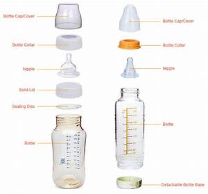 Baby Bottle Size Chart Best Pictures And Decription Forwardset Com
