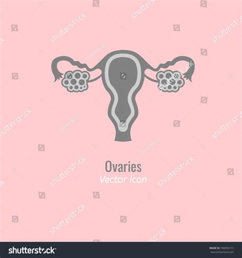 Ovary Glands Icon Flat Style Endocrine Stock Vector Royalty Free