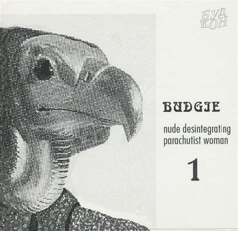 Budgie Nude Disintegrating Parachutist Woman Discogs
