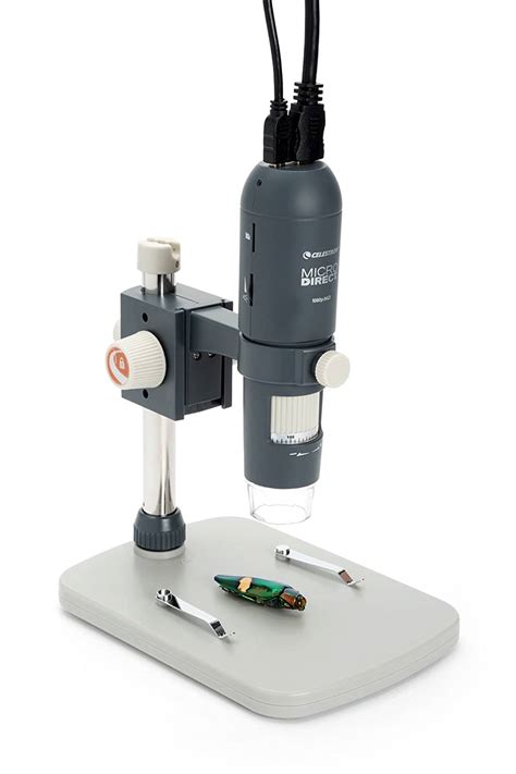 10 Best Electronic Microscopes