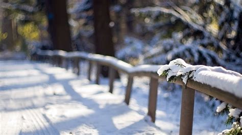 1920x1080 1920x1080 Winter Fence Snow Macro Coolwallpapersme