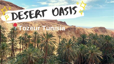 Tozeur Tunisia Tour Of The Desert Oasis توزر‎ Travel Vlog 2019